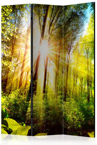 Ebern Designs Inness Room Divider Ebern Designs Number of Panels: 3 96cm H X 80cm W X 24cm D Ebern Designs Inness Room Divider Ebern Designs Number of Panels: 3 96cm H X 80cm W X 24cm D