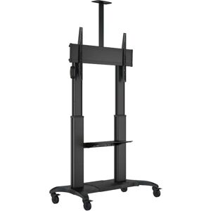 Symple Stuff Thurmond Fixed Floor Stand Mount for 60