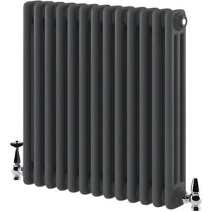 Belfry Bathroom Jenny Horizontal Traditional Colosseum Radiator gray 60.0 H x 119.0 W x 10.0 D cm