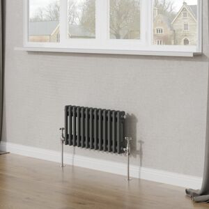 Belfry Heating Tryphosa Traditional 2 Column Horizontal Designer Radiator Anthracite 30cm H x 60.5cm W