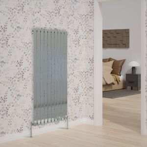 Belfry Heating Briscoe Vertical Single Flat Panel Radiator Chrome 160cm H x 68cm W x 5.2cm D