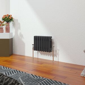 Belfry Heating Vallie Horizontal Traditional Column Cast Iron Style Designer Radiator Anthracite 30cm H x 42.5cm W