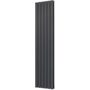 Belfry Heating Shonna Vertical Double Flat Panel Radiator Anthracite 160cm H x 40.8cm W