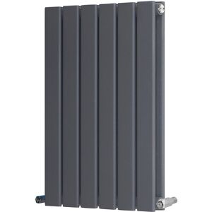 Belfry Heating Shonna Vertical Double Flat Panel Radiator Anthracite 60cm H x 40.8cm W