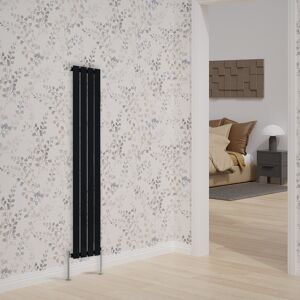 Belfry Heating Briscoe Vertical Single Flat Panel Radiator Black 160cm H x 27.2cm W x 5.2cm D