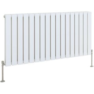 Belfry Heating Shonda Horizontal Double Flat Panel Radiator Gloss White 60cm H x 115.6cm W