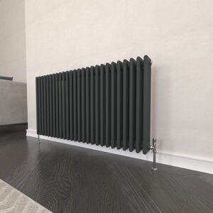 Ebern Designs Traditional 2 3 Column Radiator Cast Iron Style Heating Anthracite 60cm H x 119cm W x 10cm D