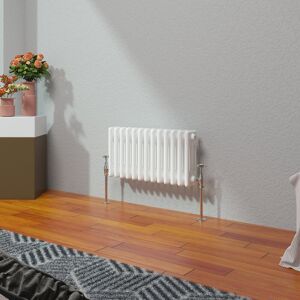 Belfry Heating Vallie Horizontal Traditional Column Cast Iron Style Designer Radiator White 30cm H x 60.5cm W