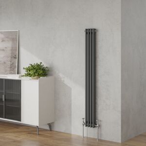 Belfry Heating Valda Vertical Traditional 2 Column Designer Radiator Anthracite 150cm H x 20cm W Belfry Heating Valda Vertical Traditional 2 Column Designer Radiator Anthracite 150cm H x 20cm W