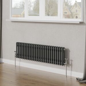Belfry Heating Tryphosa Traditional 2 Column Horizontal Designer Radiator Anthracite 30cm H x 119cm W Belfry Heating Tryphosa Traditional 2 Column Horizontal Designer Radiator Anthracite 30cm H x 119cm W