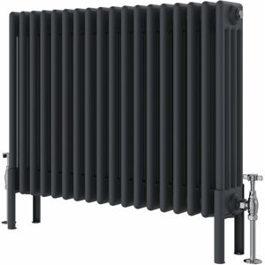 Symple Stuff Altynay Horizontal Traditional 4 Column Radiator Anthracite 600mm H x 830mm W x 140mm D Symple Stuff Altynay Horizontal Traditional 4 Column Radiator Anthracite 600mm H x 830mm W x 140mm D