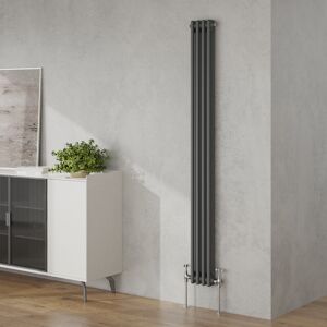Belfry Heating Valda Vertical Traditional 2 Column Designer Radiator Anthracite 180cm H x 20cm W Belfry Heating Valda Vertical Traditional 2 Column Designer Radiator Anthracite 180cm H x 20cm W
