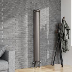 Belfry Heating Dubose Vertical Traditional 4 Column Radiator Raw Metal Grey;Raw Metal 180cm H x 20cm W x 14cm D Belfry Heating Dubose Vertical Traditional 4 Column Radiator Raw Metal Grey;Raw Metal 180cm H x 20cm W x 14cm D