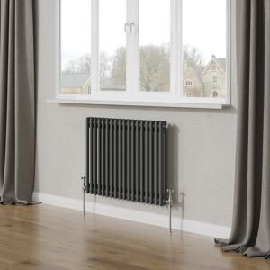 Belfry Heating Tryphosa Traditional 2 Column Horizontal Designer Radiator Anthracite 60cm H x 83cm W Belfry Heating Tryphosa Traditional 2 Column Horizontal Designer Radiator Anthracite 60cm H x 83cm W
