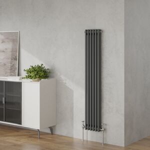 Belfry Heating Valda Vertical Traditional 2 Column Designer Radiator Anthracite 150cm H x 29cm W Belfry Heating Valda Vertical Traditional 2 Column Designer Radiator Anthracite 150cm H x 29cm W
