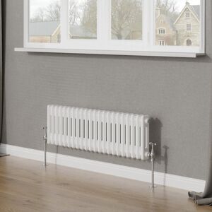 Belfry Heating Tryphosa Traditional 2 Column Horizontal Designer Radiator White 30cm H x 101cm W Belfry Heating Tryphosa Traditional 2 Column Horizontal Designer Radiator White 30cm H x 101cm W