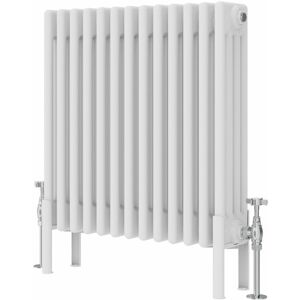 Symple Stuff Altynay Horizontal Traditional 4 Column Radiator White 600mm H x 605mm W x 140mm D Symple Stuff Altynay Horizontal Traditional 4 Column Radiator White 600mm H x 605mm W x 140mm D