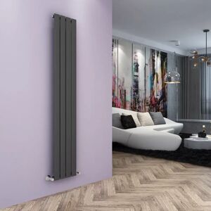 Belfry Heating Chasity Vertical Flat Panel Radiator gray 180.0 H x 30.0 W x 4.9 D cm
