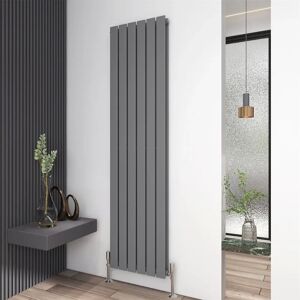 Belfry Heating Bonilla Vertical Flat Panel Radiator gray 180.0 H x 40.8 W x 5.8 D cm