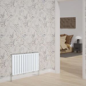 Belfry Heating Bryan Horizontal Double Flat Panel Radiators 600x884mm white 60.0 H x 88.4 W x 5.2 D cm