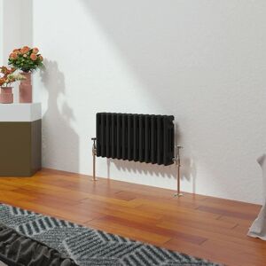 Belfry Heating Peasely Horizontal Traditional Column Radiator black/gray 30.0 H x 60.7 W x 10.0 D cm