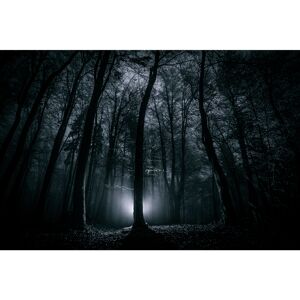 Alpen Home Dark scary night forest 458804613 Black;Grey 61cm H x 91cm W Alpen Home Dark scary night forest 458804613 Black;Grey 61cm H x 91cm W