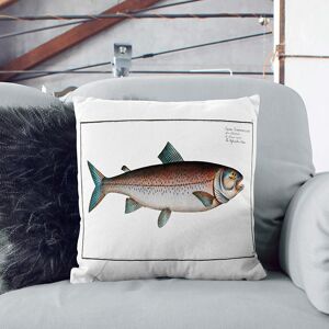 East Urban Home Schifermiller's Salmon Fish by M.E. Bloch Cushion with Filling Black 55cm H x 55cm W x 20cm D East Urban Home Schifermiller's Salmon Fish by M.E. Bloch Cushion with Filling Black 55cm H x 55cm W x 20cm D