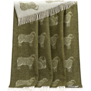 August Grove Sheep Throw Off-White;Mossy Green 130cm W X 190cm L August Grove Sheep Throw Off-White;Mossy Green 130cm W X 190cm L