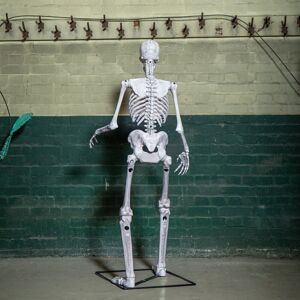 The Seasonal Aisle 5Ft (1.5M) Full Body Halloween Standing Skeleton With Posable Joints & Red LED Eyes Beige 150cm H X 61cm W X 48cm D The Seasonal Aisle 5Ft (1.5M) Full Body Halloween Standing Skeleton With Posable Joints & Red LED Eyes Beige 150cm H X 61cm W X 48cm D