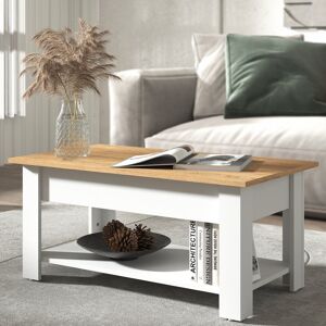 Brambly Cottage Brixburn Lift Top Coffee Table with Storage White 40cm H X 89.5cm W X 49.5cm D Brambly Cottage Brixburn Lift Top Coffee Table with Storage White 40cm H X 89.5cm W X 49.5cm D