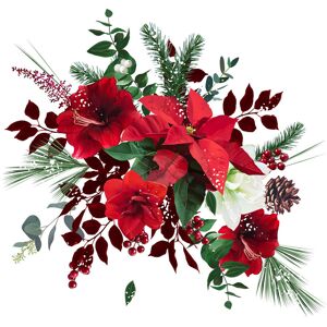 The Seasonal Aisle Merry Christmas Floral Vector Bouquet. Red and White Amaryllis, Poinsettia by Lavendertime - Wrapped Canvas Photograph 91.44cm x 91.44cm The Seasonal Aisle Merry Christmas Floral Vector Bouquet. Red and White Amaryllis, Poinsettia by Lavendertime - Wrapped Canvas Photograph 91.44cm x 91.44cm