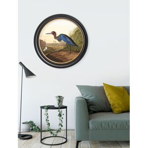 Beachcrest Home Audubon - Single Picture Frame Print on Archival Matt 230gsm Paper black;blue;brown;gold;green 1,835.35cm H X 1,835.35cm W Beachcrest Home Audubon - Single Picture Frame Print on Archival Matt 230gsm Paper black;blue;brown;gold;green 1,835.35cm H X 1,835.35cm W