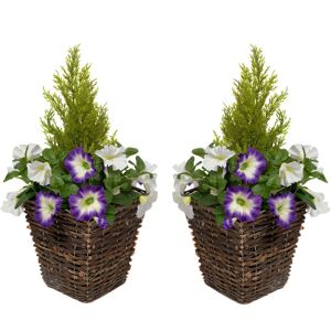 Lily Manor 2 x Artificial White Petunias Rattan Patio Planters Dark Purple/White Lily Manor 2 x Artificial White Petunias Rattan Patio Planters Dark Purple/White