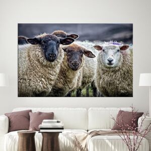 August Grove Sheep Wall Art on Canvas for Farmhouse Style Home Decor with Animal Theme Ideal as a Gift and Perfect for Enhancing Farm Wall Aesthetics Offering Fram Does Not Apply/Wrapped Canvas 25 cm H x 35 cm W August Grove Sheep Wall Art on Canvas for Farmhouse Style Home Decor with Animal Theme Ideal as a Gift and Perfect for Enhancing Farm Wall Aesthetics Offering Fram Does Not Apply/Wrapped Canvas 25 cm H x 35 cm W