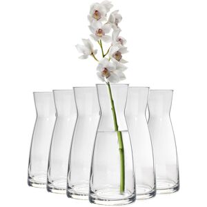 Bormioli Rocco Ypsilon Glass Carafes Clear 25.5cm H x 10.4cm W x 10.4cm D Bormioli Rocco Ypsilon Glass Carafes Clear 25.5cm H x 10.4cm W x 10.4cm D