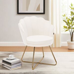 Fairmont Park Round velvet armchair with petal backrest and gold metal legs modern accent chair dressing chair for home White 47cm W Fairmont Park Round velvet armchair with petal backrest and gold metal legs modern accent chair dressing chair for home White 47cm W