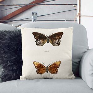 East Urban Home Limenitis Arthemis Butterfly by S.F. Denton Cushion with Filling White 55cm H x 55cm W x 20cm D East Urban Home Limenitis Arthemis Butterfly by S.F. Denton Cushion with Filling White 55cm H x 55cm W x 20cm D