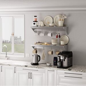 Brayden Studio 2 Pack Metal Multifunctional Storage Rack with Backplash for Kitchen, 12" x 24" Stainless Steel Wall Mount Shelf with 5 Hooks for Hanging Pots, Pans,c Stainless Steel 12cm H X 24cm W X 12cm D Brayden Studio 2 Pack Metal Multifunctional Storage Rack with Backplash for Kitchen, 12" x 24" Stainless Steel Wall Mount Shelf with 5 Hooks for Hanging Pots, Pans,c Stainless Steel 12cm H X 24cm W X 12cm D