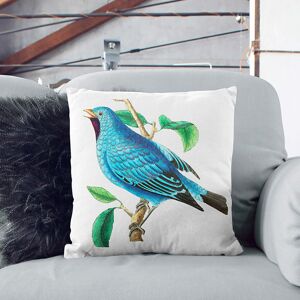 East Urban Home Blue Chatterer Bird by George Shaw Cushion with Filling Black 55cm H x 55cm W x 20cm D East Urban Home Blue Chatterer Bird by George Shaw Cushion with Filling Black 55cm H x 55cm W x 20cm D