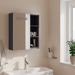 Latitude Run Adrianny W 52mm H Framed Medicine Cabinet Mirror Grey 52 cm H x 45 cm W x 13 cm D Latitude Run Adrianny W 52mm H Framed Medicine Cabinet Mirror Grey 52 cm H x 45 cm W x 13 cm D