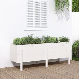 Ebern Designs Meenakshi Garden Raised Bed White 57cm H x 160cm W x 50cm D Ebern Designs Meenakshi Garden Raised Bed White 57cm H x 160cm W x 50cm D