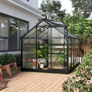 Dakota Fields 6 Ft W x 10 Ft. D Greenhouse Clear 201cm H X 190cm W X 312cm D Dakota Fields 6 Ft W x 10 Ft. D Greenhouse Clear 201cm H X 190cm W X 312cm D