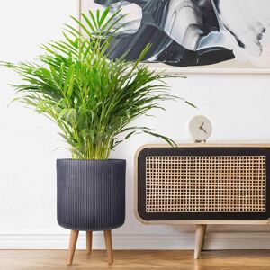 HORTICO Concrete Effect Cylinder Round Planter on Hardwood Legs, Round Indoor Plant Pot Stand for Indoor Plants, Indoor Flower Pot with Ribbed Pattern Black 46cm H x 30.5cm W x 30.5cm D