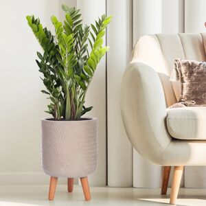 HORTICO Concrete Effect Cylinder Round Planter on Hardwood Legs, Round Indoor Plant Pot Stand for Indoor Plants, Indoor Flower Pot with Plaited Pattern Beige 35cm H x 24cm W x 24cm D