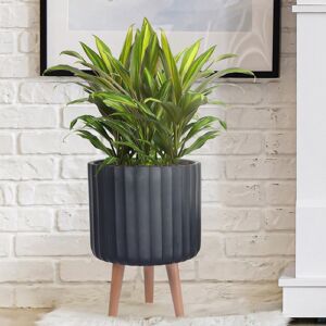 HORTICO Concrete Effect Cylinder Round Planter on Hardwood Legs, Round Indoor Plant Pot Stand for Indoor Plants, Indoor Flower Pot with Ribbed Pattern Black 41cm H x 30cm W x 30cm D