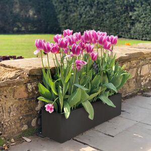 HORTICO Window Flower Box Planter, Frostproof Outdoor Plant Pot, Narrow Garden Planter with Drainage Holes, Concrete Effect Windowsill Planter Black 17.5cm H x 60cm W x 17cm D