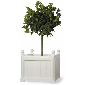 Astoria Grand Pendle Fiberglass Window Box Planter White 35cm H x 38cm W x 38cm D Astoria Grand Pendle Fiberglass Window Box Planter White 35cm H x 38cm W x 38cm D