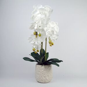 Artificial White Orchid with Ceramic Bubble Planter The Seasonal Aisle White 60cm H X 30cm W X 30cm D Artificial White Orchid with Ceramic Bubble Planter The Seasonal Aisle White 60cm H X 30cm W X 30cm D