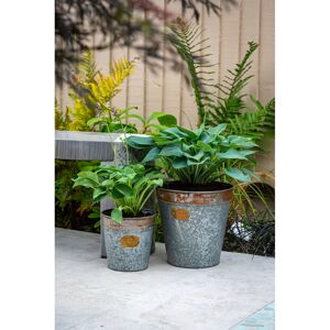 Freeport Park Cassandra Metal Cachepot 50cm H x 50cm W x 50cm D Freeport Park Cassandra Metal Cachepot 50cm H x 50cm W x 50cm D