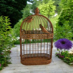 Lark Manor Rusty Garden Wall Mirror Bird Cage Gold 60cm H X 34cm W X 10cm D Lark Manor Rusty Garden Wall Mirror Bird Cage Gold 60cm H X 34cm W X 10cm D